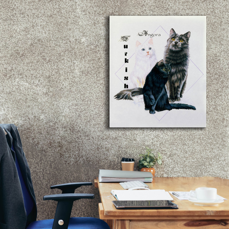 «Turkish Angora» par Barbara Keith sur, H 30 po x l 26 po x P 1,5 po