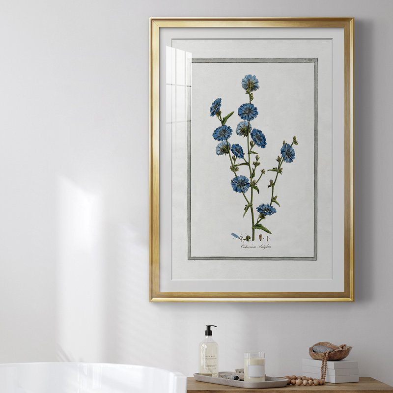 «Soft Botanical I», reproduction encadrée de qualité supérieure, prête à être accrochée, Cadre doré