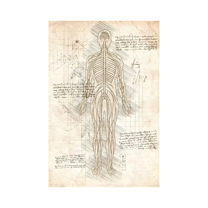 Human Nervous System by Cornel Vlad - Wrapped Canvas Print, 20.32 cm H x 30.48 cm W
