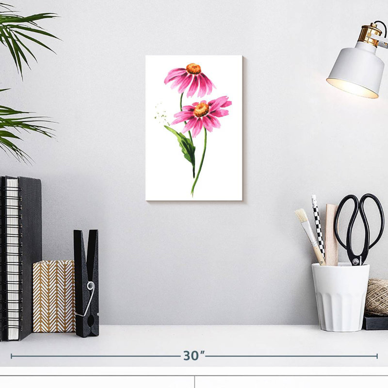 Fleurs d'échinacée, H 12 po x l 8 po