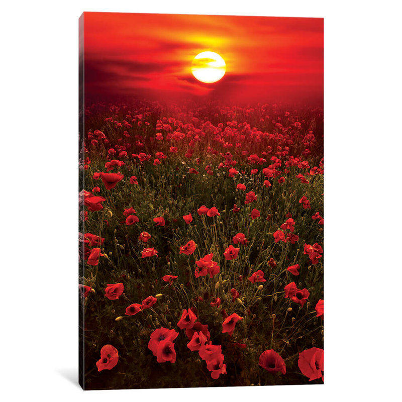Warm Sunset by Marco Carmassi - Wrapped Canvas Gallery-Wrapped Canvas Giclée, 101.6 cm H x 66.04 cm W x 3.175 cm D