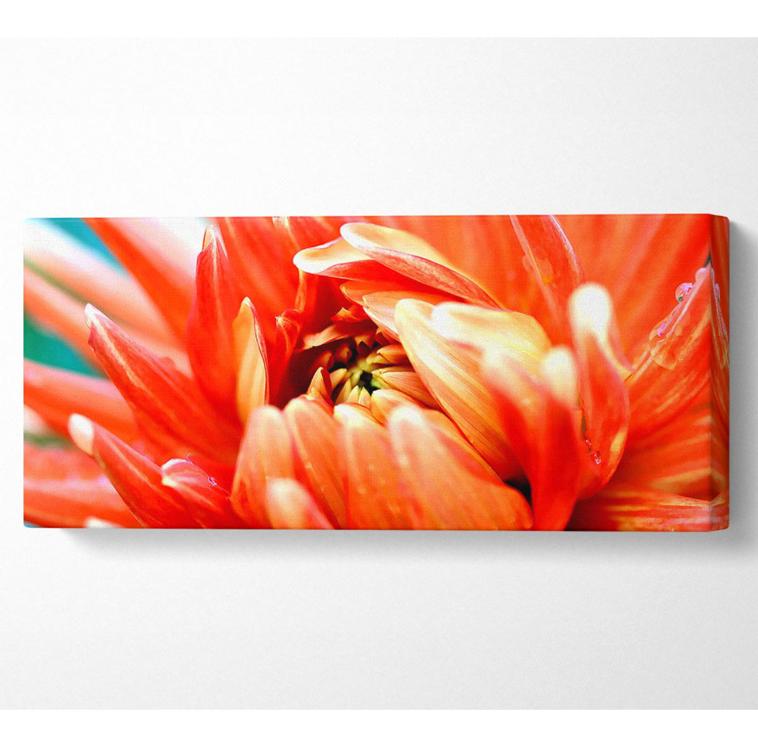 Orange Passion - Kunstdrucke auf Leinwand - Wrapped Canvas