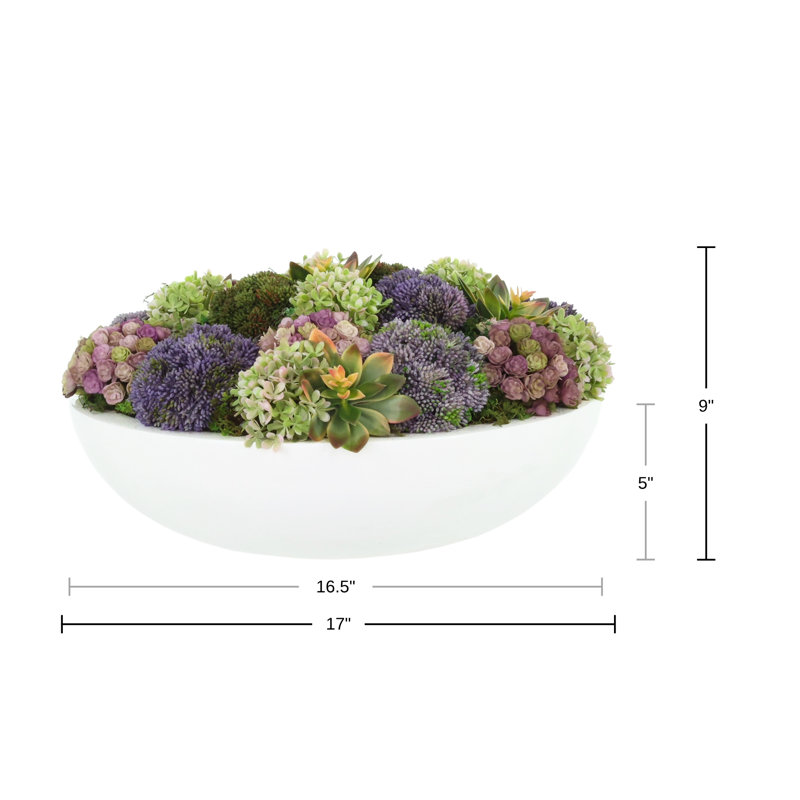 Assorted Sedum and Succulent Arrangement in Round Planter