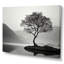 Photographie en noir et blanc d'un arbre au bord du lac I - paysage de montagnes-1312470973-1312470969