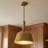 Saxon 1-Light Dimmable Dome Pendant-1953057659