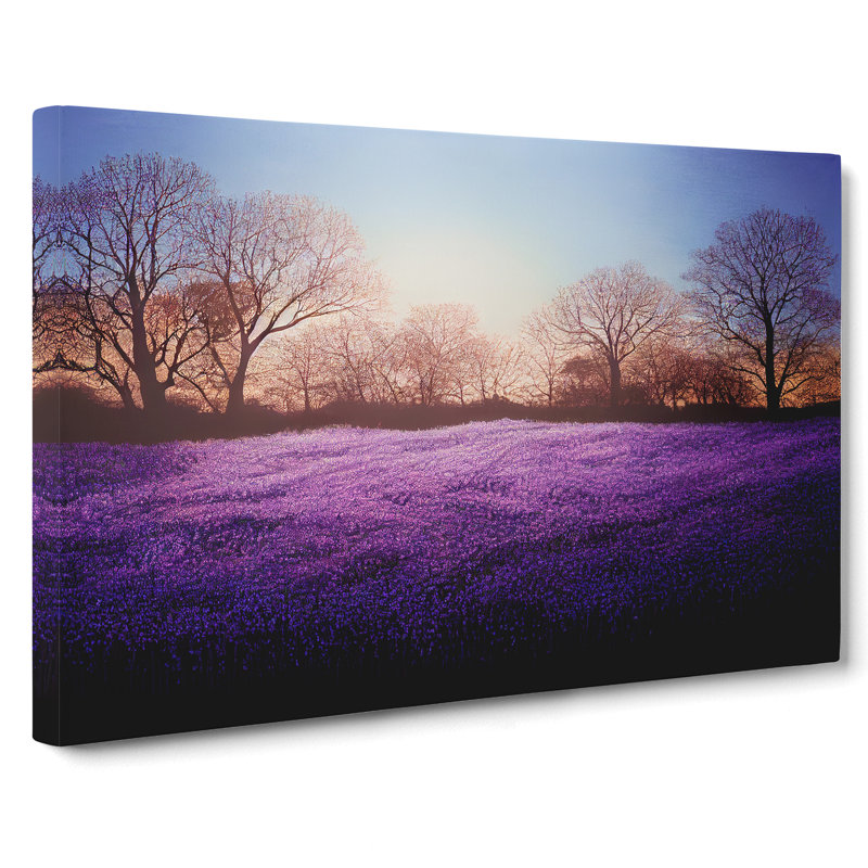 Staggering Bluebell Field Sunrise - Wrapped Canvas, 40cm H x 60cm W x 3cm D