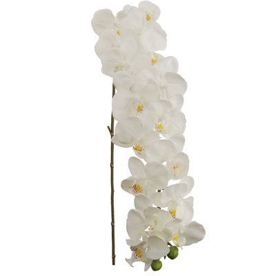 4pcs 49" Phalaenopsis Orchid Stem - 2025 Spring Collection