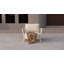 Outdoor 5 - Piece Conversation Set