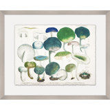 Modern Mushrooms 4 Print