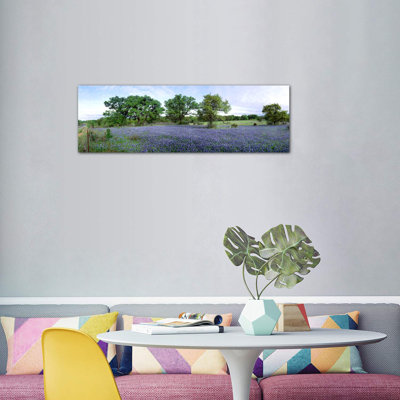 «Field of Bluebonnets», Hill County, Texas, États-Unis - reproduction de photo sur toile