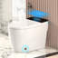Toilette intelligente chauffante intelligente avec ouverture / fermeture automatique, sécheuse et eau chaude pour un confort et une hygiène améliorés