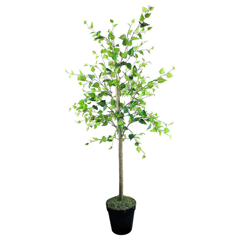 Lobos 72'' Faux Birch Tree in Pot