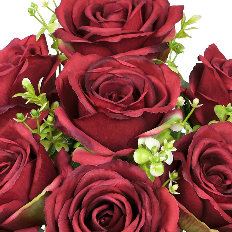 Roses, buissons, Rouge