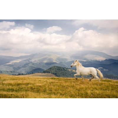" White Horse "