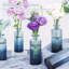 Ensemble de 12 vases en verre Bud-207987494