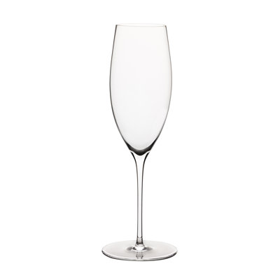 SIENA CHAMPAGNE GLASS 24CL