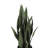 Artificial Sansevieria Snake Plant in Pot-1129665381