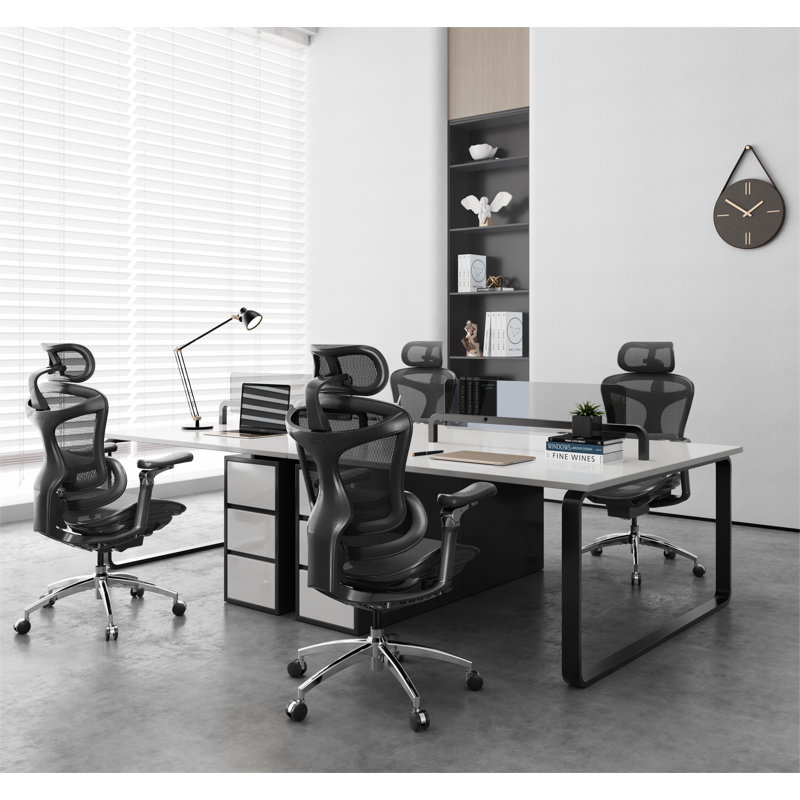 Doro C300P Ergonomic Office Chair, Big and Tall Desk Chair, Computer Chair with 6D Armrests, Black
