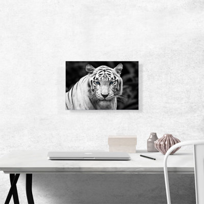 «White Tiger Staring Blue Eyes Pop», reproduction de photo sur toile tendue