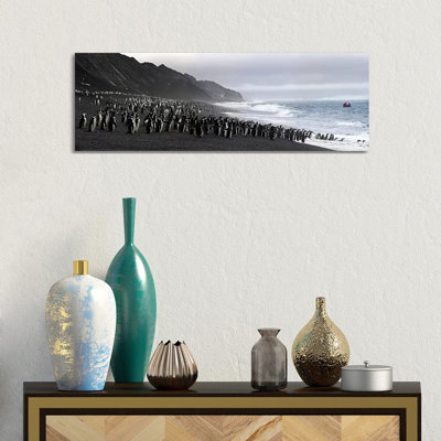 Chinstrap Penguins Marching To The Sea, Bailey Head, Deception Island, Antarctica by Panoramic Images - Panoramic Gallery-Wrapped Canvas Giclée on Canvas