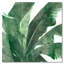 « palm leaf pattern i », impression sur toile-29002879