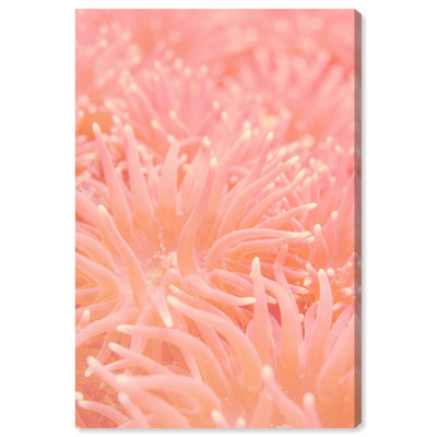 Deep Sea Flowers Print by Oliver Gal