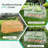 Masyardi 4'x2'x2' Mini house-116008045