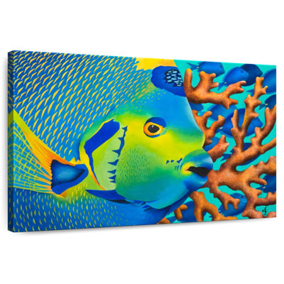 Brampt Angelfish