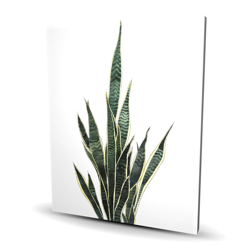 Snake Plant - Green Floral Canvas for Home Decor | Botanical Art