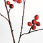 ROSEHIP BRANCH 43inch