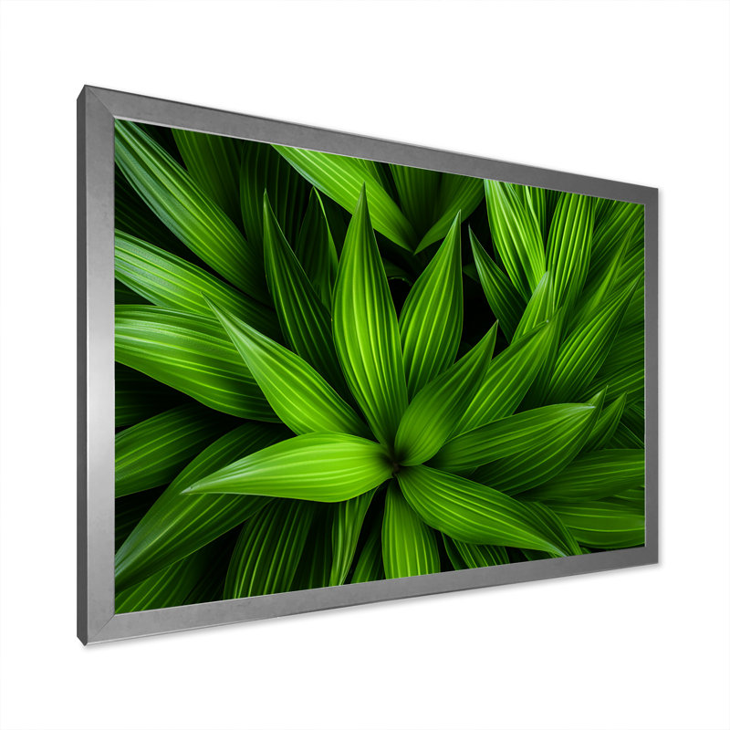 Greenerys Gaze sur impression sur toile, Cadre photo argenté, H 16 po x l 32 po x P 1 po