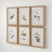 Floral Botanical Study - 6 Piece Single Picture Frame Print