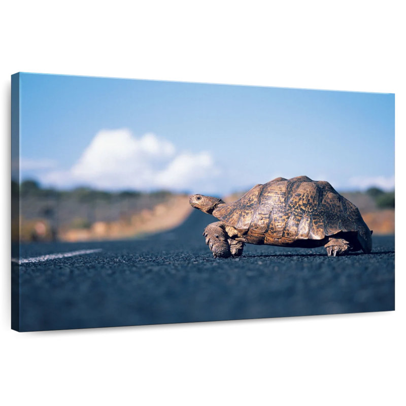 Brampt Crossing Turtle, 8" H x 12" W