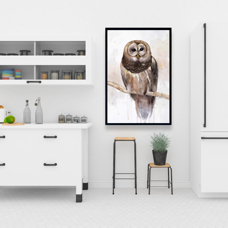 Barred Owl Print On Canvas