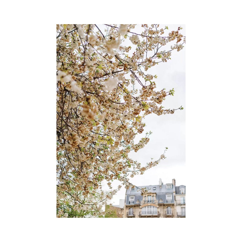Paris Garden 1 Piece Wall Art on Canvas, 45.72cm H x 30.48cm W x 1.91cm D, Wrapped Canvas