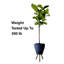 Support pour plante Abraam-1254230936