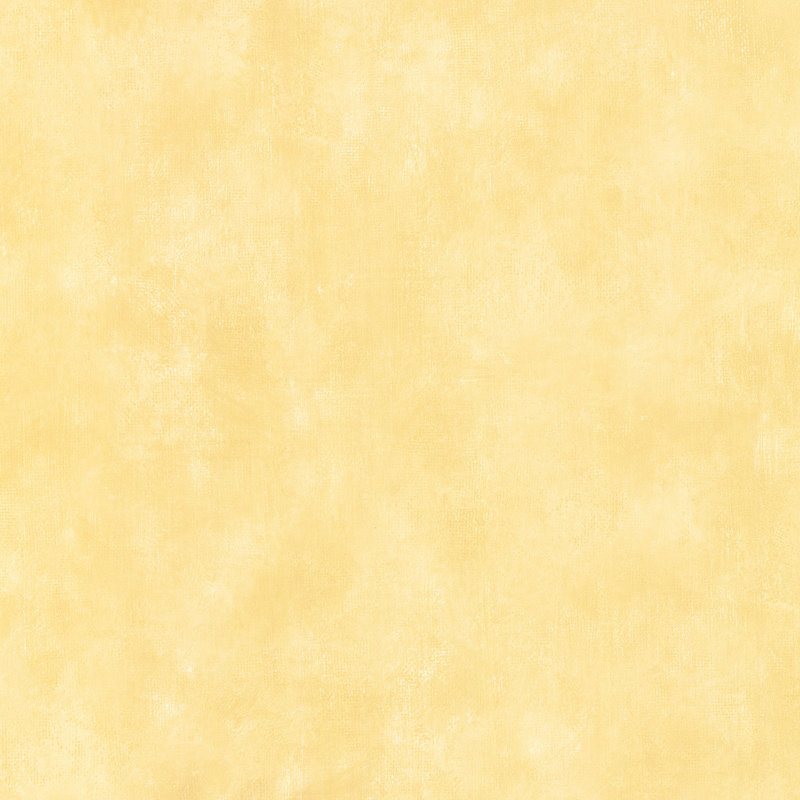 Evas 10m x 52.8cm Matte Paste the Wall Wallpaper Roll