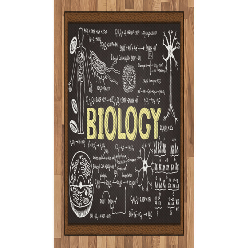 Tapis décoratif à longues fibres en fibres à haute densité Science, Rectangle 2 pi 7 po x 5 pi