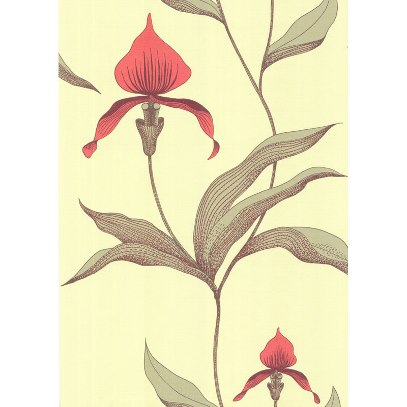 Orchid Floral Wallpaper Roll, Lime/Red