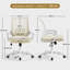  Mesh Desk Chair-988808644-1004038884
