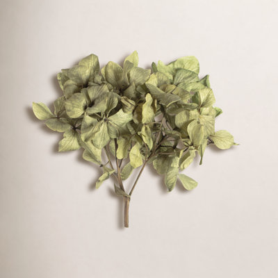 Hydrangea Floral Arrangement