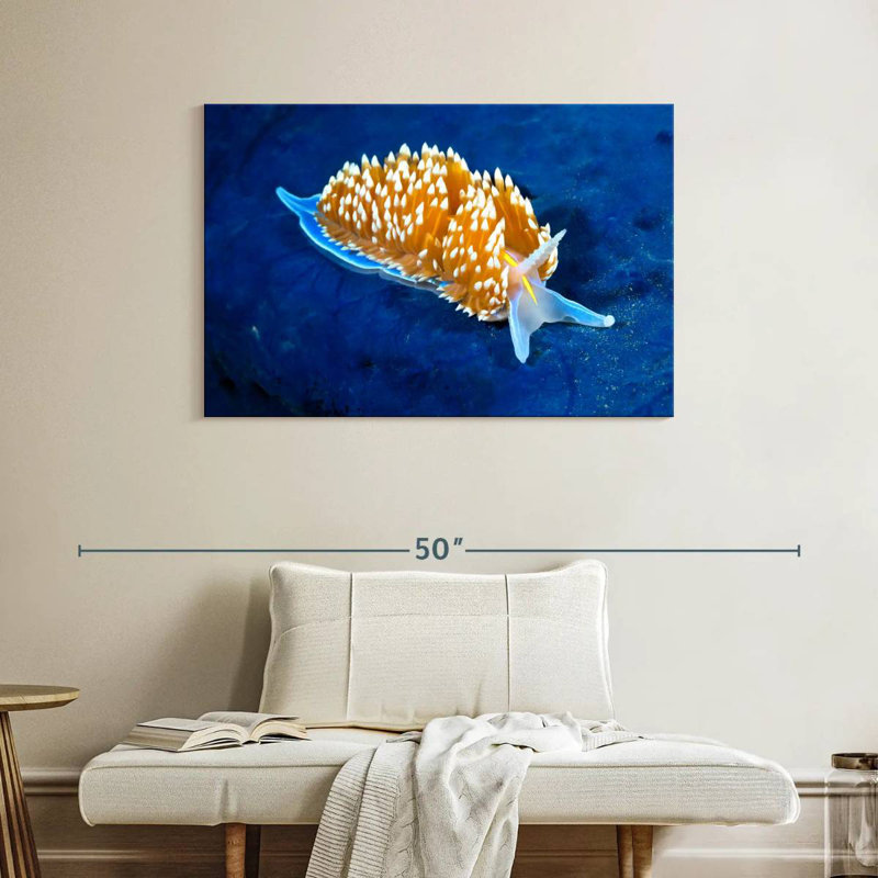 Crowle Glowing Nudibranch, 26" H x 39" W