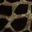 Lenno Animal Print Roll