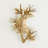 Albizia 3 - Light Design Wall Light