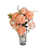 Rose sélectionné