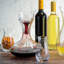 Sommelier Red Wine Carafe with Aerator