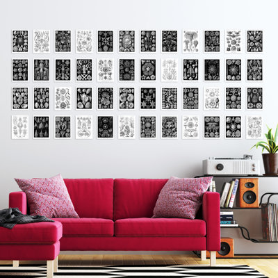 Baryram 50 Piece No Frame Print