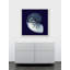 Indigo Shell VII par Marmont Hill - impression encadrée sur papier-33327237-33327240