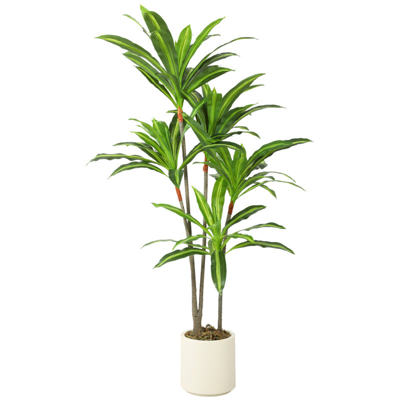Faux Dracaena Tree Plant in Cement Freestanding  Planter, 1, 150cm H x 60cm W x 50cm D