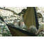 Lucia Double Camping Hammock-12808948-12808952